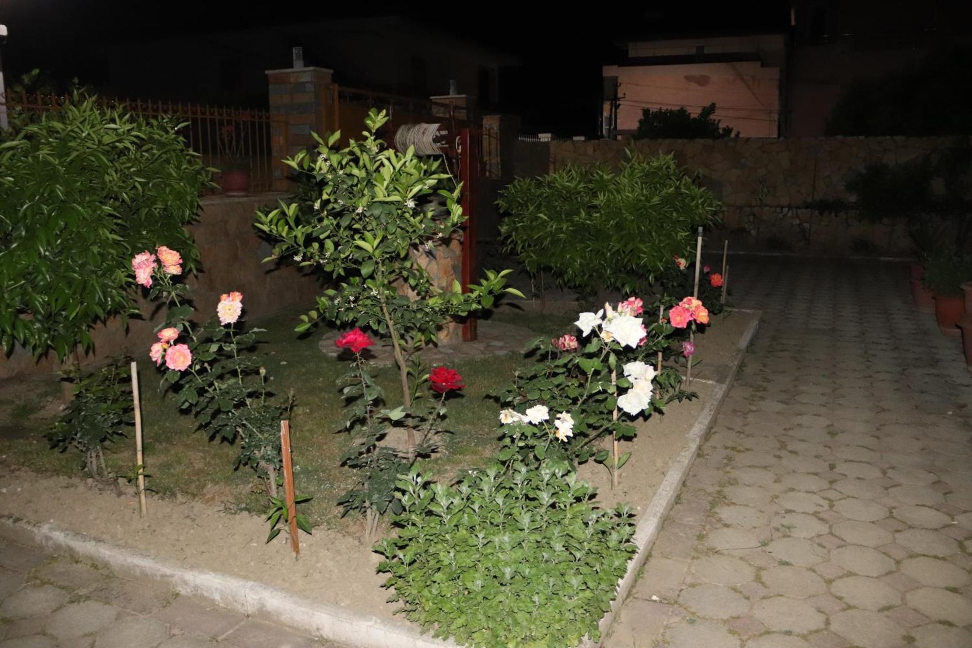 Raisa Guesthouse 12 เบราท ภายนอก รูปภาพ
